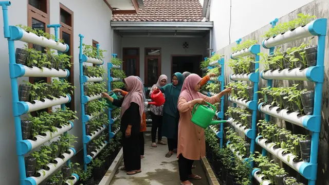 11 Ide Kebun Sayur untuk Ibu-ibu Koperasi Wanita, Mudah Diterapkan dan Sukses