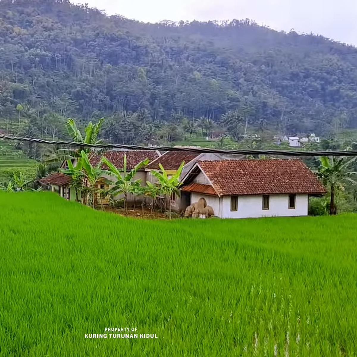 Kampung Cipancur Tasikmalaya yang indah