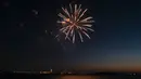 Kembang api meledak di atas Pelabuhan New York dan Patung Liberty di New York, Selasa (15/6/2021). New York menandai berakhirnya pembatasan COVID-19 dengan perayaan kembang api di seluruh negara bagian untuk menghormati para kelompok pekerja penting. (AP Photo/Craig Ruttle)