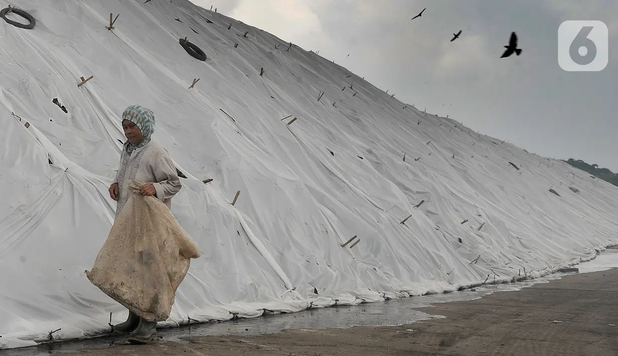 Pemulung melewati gunungan sampah yang ditutupi plastik besar di Tempat Pembuangan Akhir (TPA) Cipayung, Depok, Jawa Barat, Selasa (21/1/2020). Pemasangan plastik tersebut dilakukan sejak kemarin untuk mengurangi bau tak sedap di musim hujan sekaligus mengurai sampah. (merdeka.com/Arie Basuki)