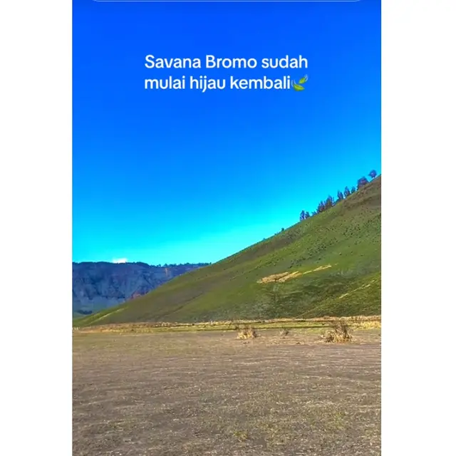 6 Potret Savana Bromo Menghijau Usai Terbakar, Pemandangan yang Dirindukan