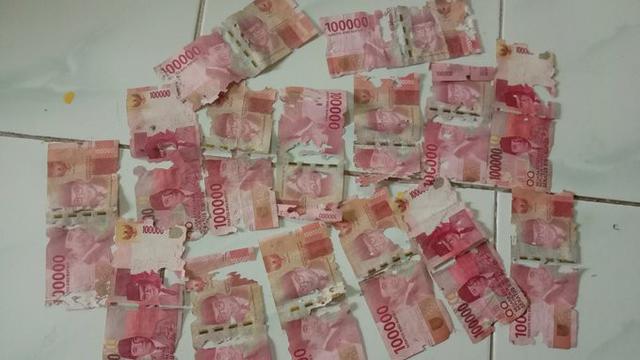 6 Momen Apes Uang Tabungan Dimakan Rayap Ini Bikin Nyesek Banget