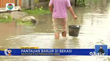 Fokus edisi (02/03) mengangkat beberapa topik pilihan sebagai berikut, Dampak Banjir di Jawa Tengah, Angin Kencang, Ratusan Rumah Rusak, Harta Fantastis, Mantan Pejabat Pajak Diperiksa KPK.