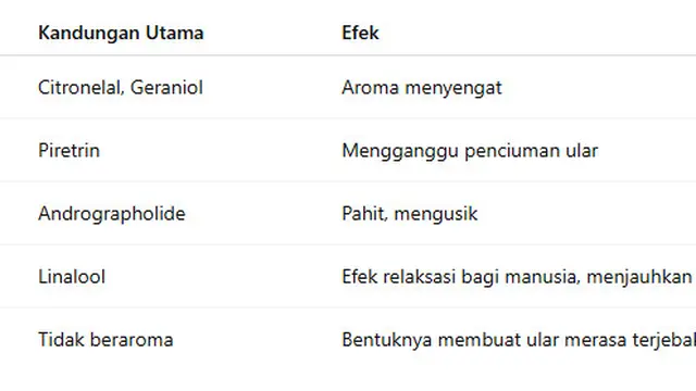 Tanaman Pengusir Ular (Foto: ChatGPT)