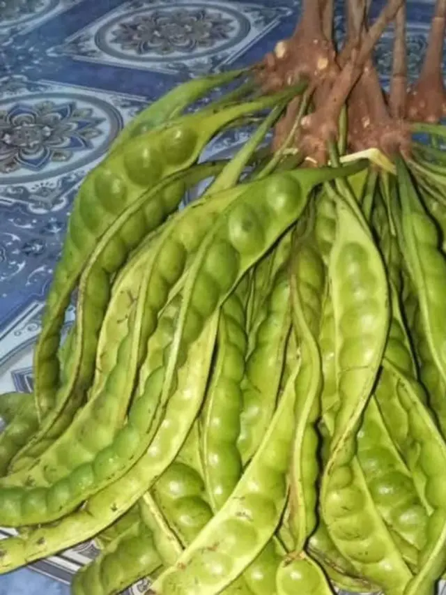 Petai/desatepus.gunungkidulkab.go.id