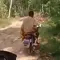 Viral Jenazah Bocah Dibawa Pakai Motor di Pandeglang, Keluarga Buka Suara