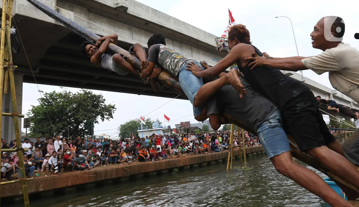Mereka tampak kesulitan sampai ke puncak pohon pinang yang telah disiapkan sejumlah hadiah. (Liputan6.com/Herman Zakharia)