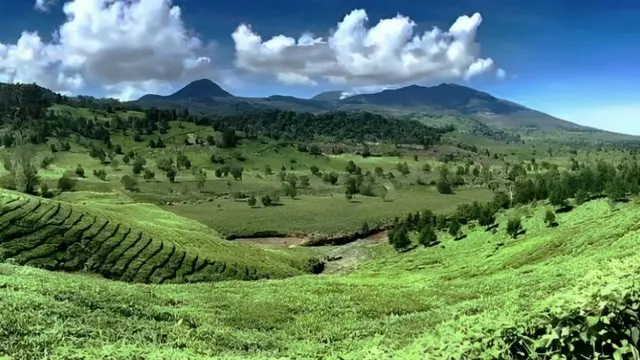 Gunung Kendang di Jawa Barat masih satu kawasan dengan Taman Wisata Alam Gunung Papandayan