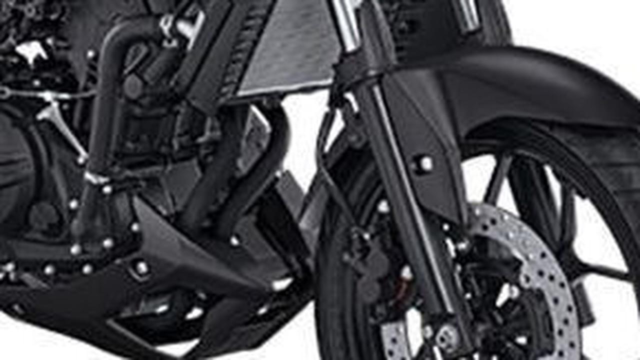 Berikut ini adalah harga motor bekas Yamaha MT-25, lengkap dengan spesifikasinya, yang dirangkum dari berbagai sumber pada Kamis (30/5/2024).