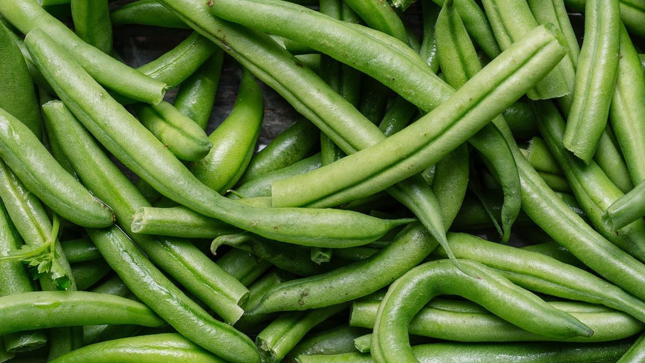 Kacang Panjang Mudah Beradaptasi (Image by Freepik)