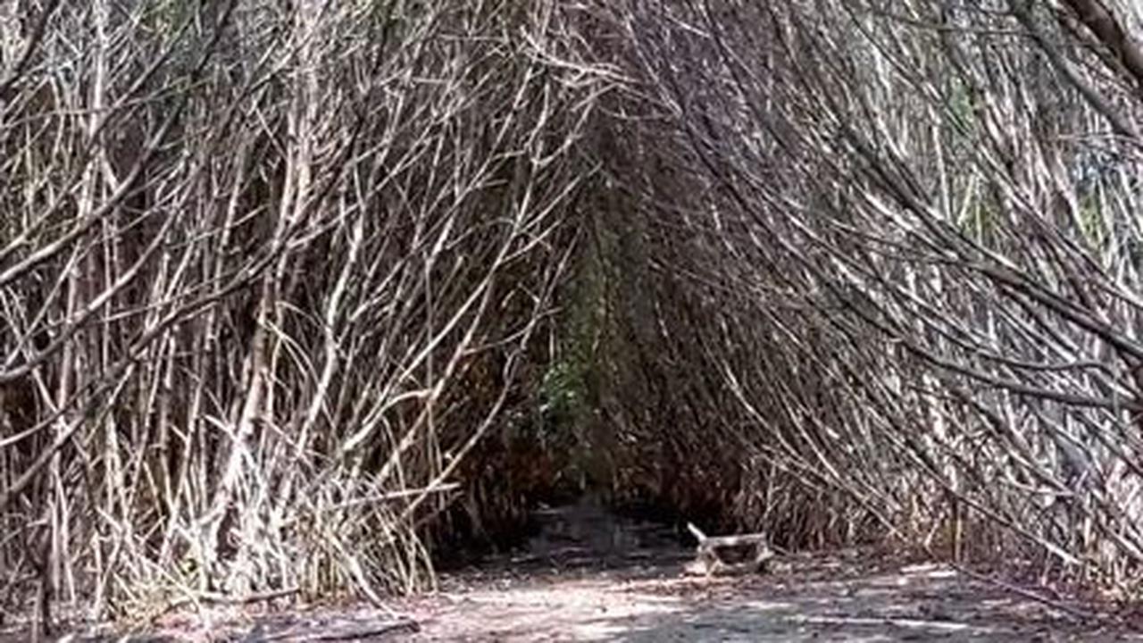 Belum Banyak Didatangi, Yuk Intip Eksotisnya Pulau Burung di Subang yang Jadi Hidden Gems
