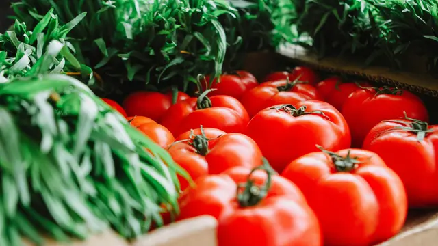 10 Jenis Sayuran yang Aman Dikonsumsi Penderita Asam Urat