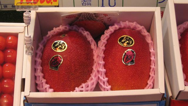 Buah Mahal Taiyo no Tamago