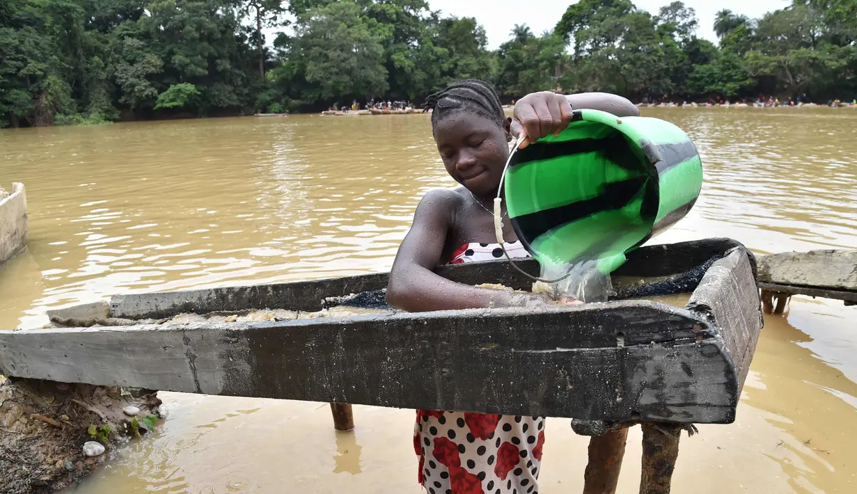 Seorang penembang emas wanita menyaring kerikil dan memisahkan bintik-bintik emas dari lumpur di sungai Pampana di dekat Mekeni, sebelah utara Sierra Leone (5/3). (AFP Photo/Issouf Sanogo)