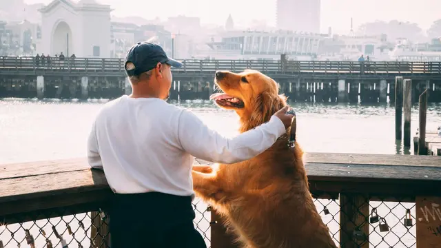 Dog and Owner
