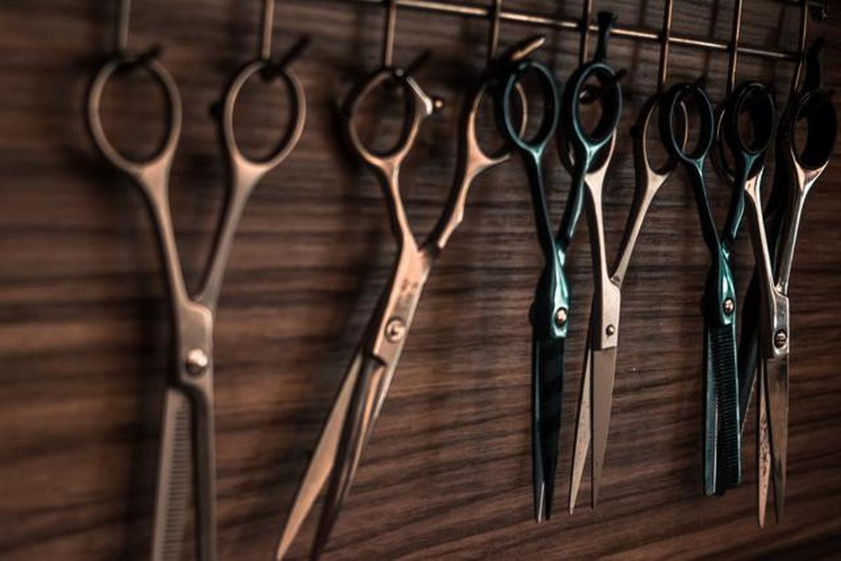 Tips Merawat Ekor Kuda Tanaman Hias agar Tumbuh Subur di Rumah