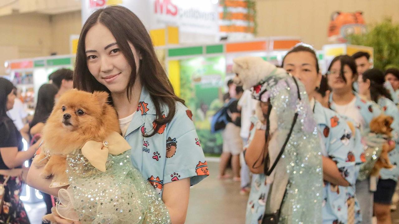 FOTO: Keseruan Pengunjung dengan Binatang Kesayangan saat Pet Fest 2025