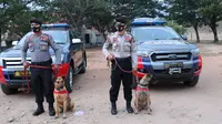 Dua anjing pintar dari Polda Sulteng yang dibawa ke Sulbar untuk membantu pencarian korban gempa di Mamuju dan Majene. (Foto: Humas Polda Sulteng).