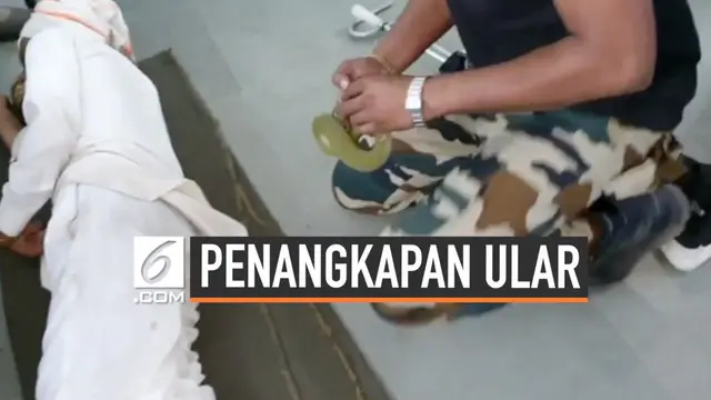 Peristiwa anah sekaligus mengerikan terjadi di salah satu Rumah Sakit India. Seekor ular masuk ke dalam baju seorang pengunjung yang sedang tertidur.