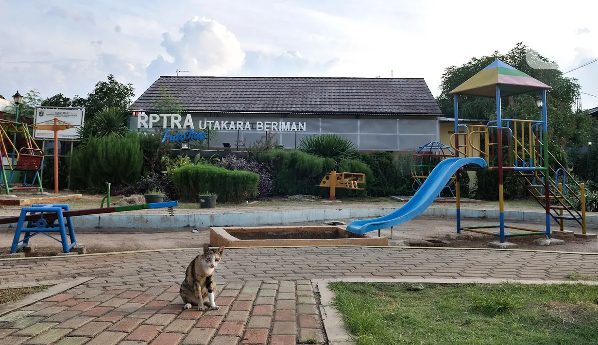 Seekor kucing terlihat di Ruang Publik Terpadu Ramah Anak (RPTRA) Utakara Beriman, Jakarta, Senin (8/6/2020). Sebelumnya Gubernur Anies Baswedan mengumumkan akan membuka kembali  RPTRA untuk umum saat masa PSBB Transisi. (merdeka.com/Iqbal S Nugroho)