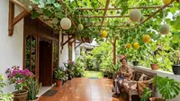 8 Tanaman Rambat Buah yang Bisa Jadi Atap Alami Rumah Biar Adem Tanpa AC