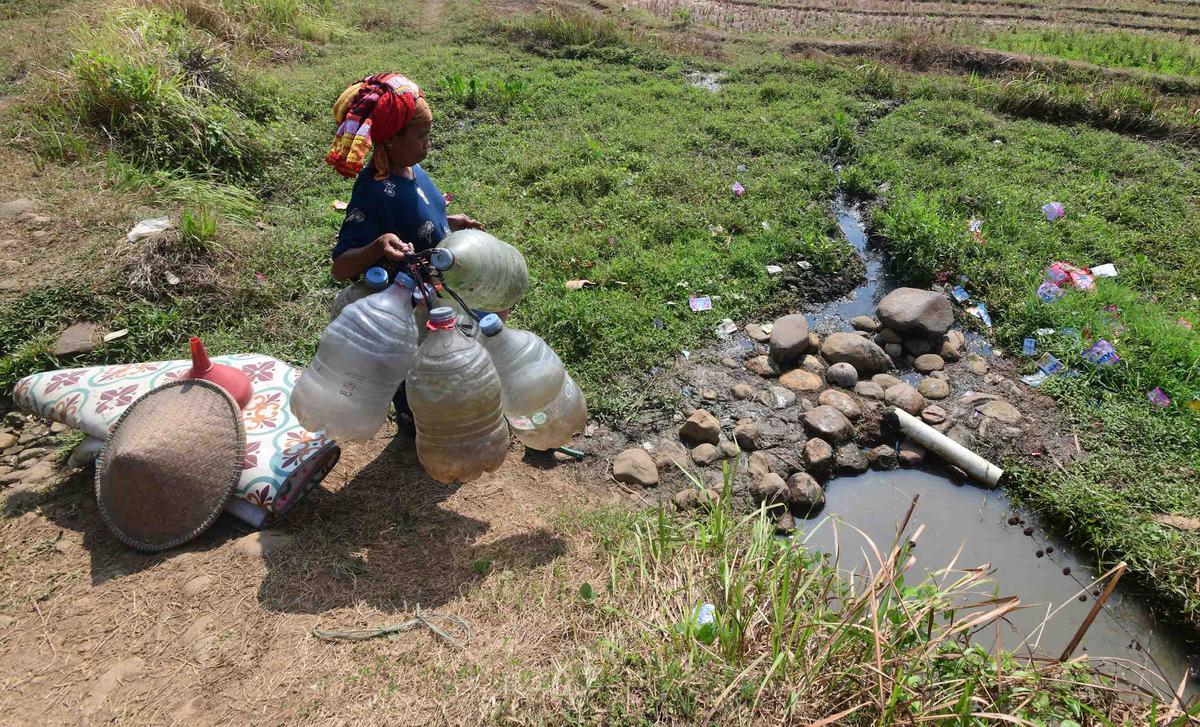 Warga Bertahan dari Kubangan Bekas Sawah di Tengah Kekeringan