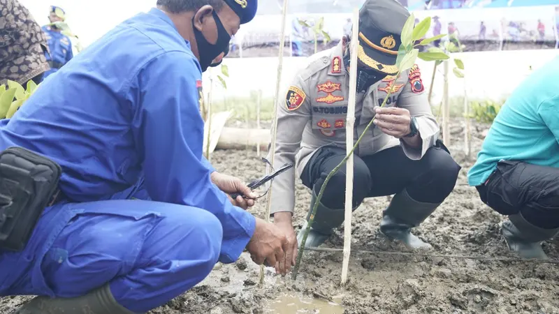 Intip Aksi Kapolres Pati, AKBP Christian Tobing Tanam Mangrove