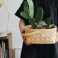 Benarkan kaktus bisa tuntaskan masalah kulit wajah kering? (unsplash.com)