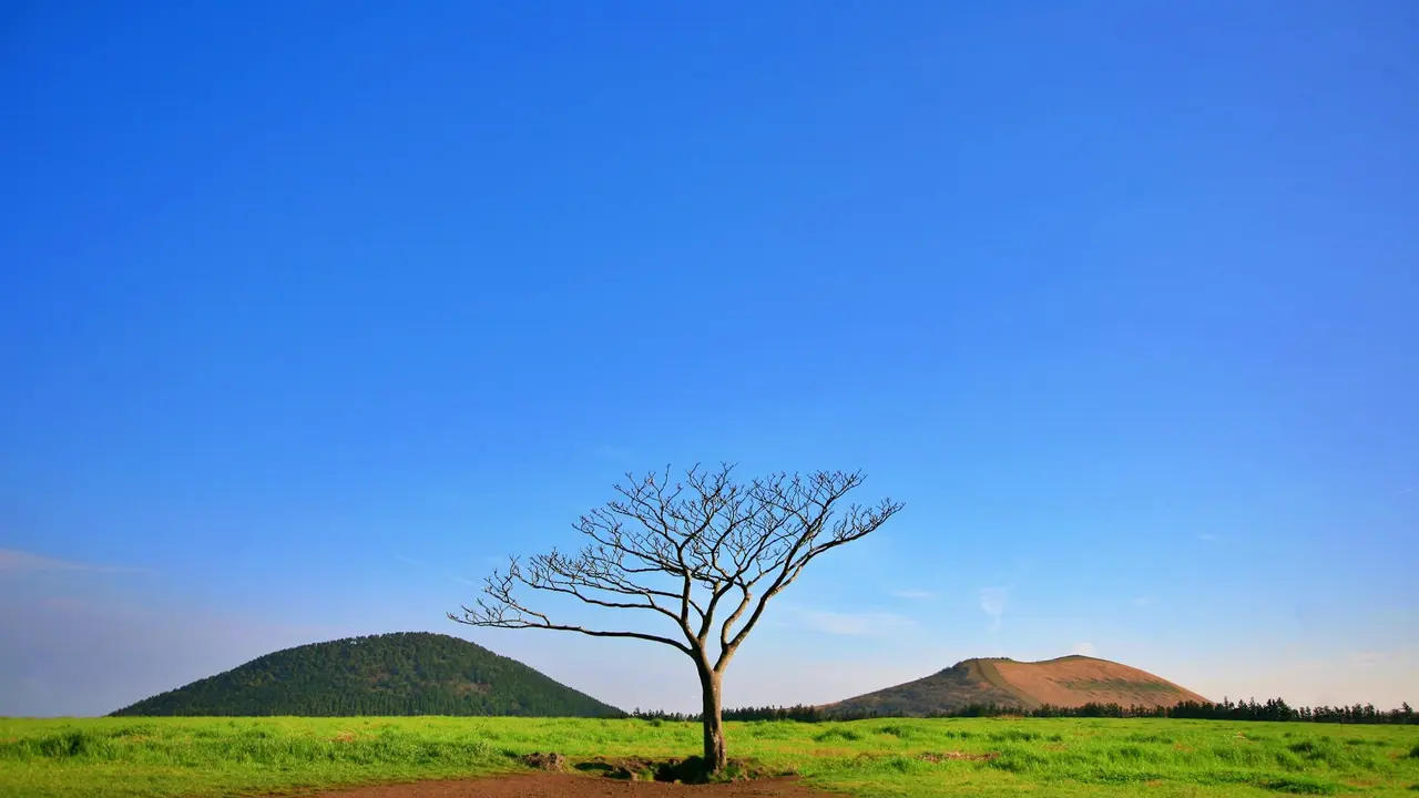 Jeju Island