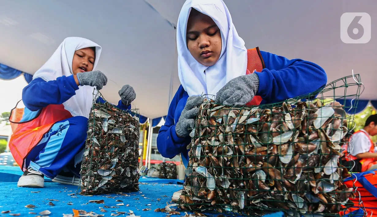 Dalam rangka Hari Bumi, PT Pembangunan Jaya Ancol Tbk (Ancol) mengajak 200 generasi muda untuk turut serta menjaga lingkungan dengan melaksanakan restorasi cangkang hijau.  (Liputan6.com/Angga Yuniar)