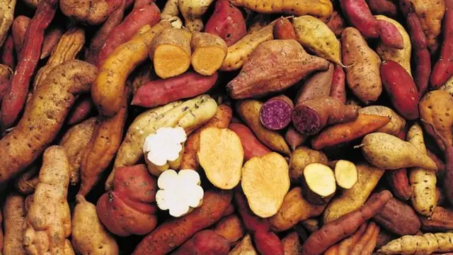 [Bintang] Umbi-Umbian