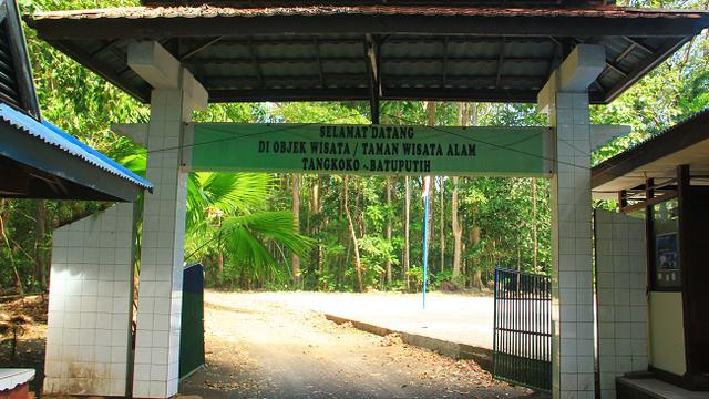 Hasil gambar untuk taman nasional tangkoko