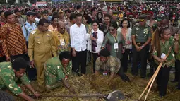 Presiden Joko Widodo dan Ibu Negara saat mengikuti ‎upacara Bakar Batu bersama masyarakat Pegunungan Tengah Papua di Stadion Mini Pendidikan, Distrik Wamena, Kabupaten Jayawijaya‎, Rabu (30/12). (Rumgapres)