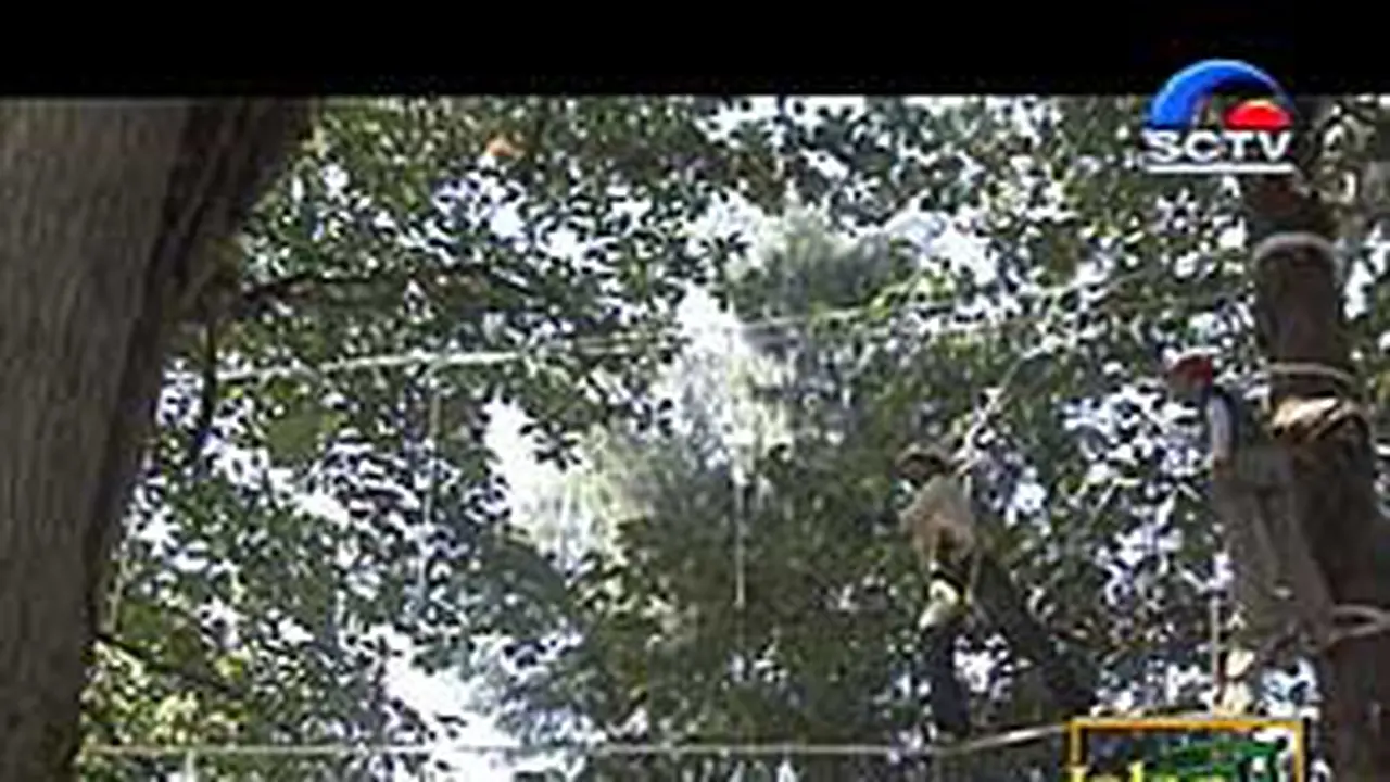 201004aJalan.jpg