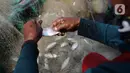 Nelayan mengumpulkan ikan hasil tangkapan di Pelabuhan Cilincing, Jakarta, Selasa (1/3/2022). Sejumlah komoditas ikan laut di pasaran mengalami kenaikan harga hingga 5 persen disebabkan cuaca buruk di laut dalam sepekan terakhir sehingga nelayan berhenti melaut sementara. (merdeka.com/Imam Buhori)