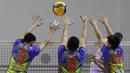 Tiga pemain Surabaya Bhayangkara Samator berusaha memblok bola saat melawan Bogor LavAni pada laga final four PLN Mobile Proliga 2022 di Padepokan Bola Voli Sentul, Jawa Barat, Sabtu (12/3/2022). Samator menang dengan skor 3-2 (21-25, 22-25, 27-25, 25-21, 15-12) (Bola.com/M Iqbal Ichsan)