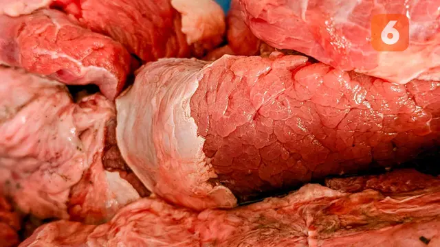 daging kurban
