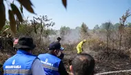 KLH Segel 50 Badan Usaha Terkait Kebakaran Hutan