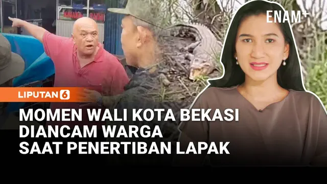 Wali Kota Bekasi Diancam Warga Saat Penertiban Lapak | Lansia Diserang Buaya Liar