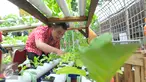 Seorang narapidana mengecek tanaman saat Festival Napi Berkebun (FNB) 2015 di Pasar Festival Gelanggang Olahraga Soemantri Brodjonegoro, Kuningan, Jakarta Selatan, Jumat, (18/12/15). (Liputan6.com/Faisal R Syam)
