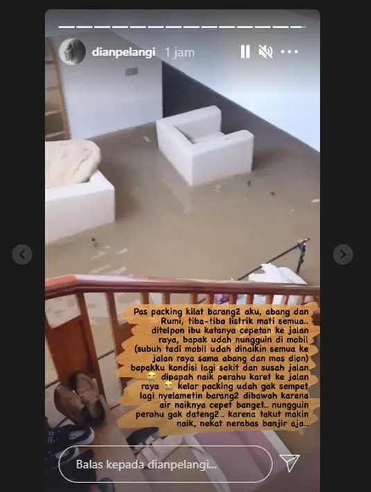 (Instagram/dianpelangi)