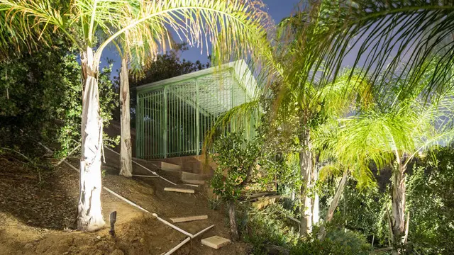 [Bintang] Chris Brown