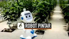 robot china