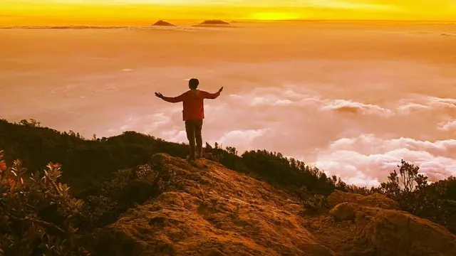 Pemandangan dari atas Gunung Cikuray