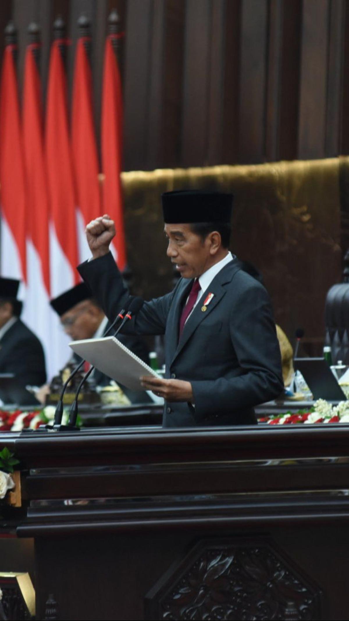 Dalam paparannya, Jokowi memastikan alokasi anggaran untuk keberlanjutan pembangunan Ibu Kota Nusantara (IKN) pada RAPBN 2025.&nbsp;Foto: dok. DPR RI