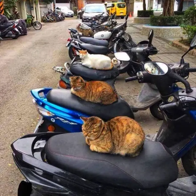 10 Cara Nyeleneh Orang Jaga Barang Biar Enggak Kemalingan Ini Kocak