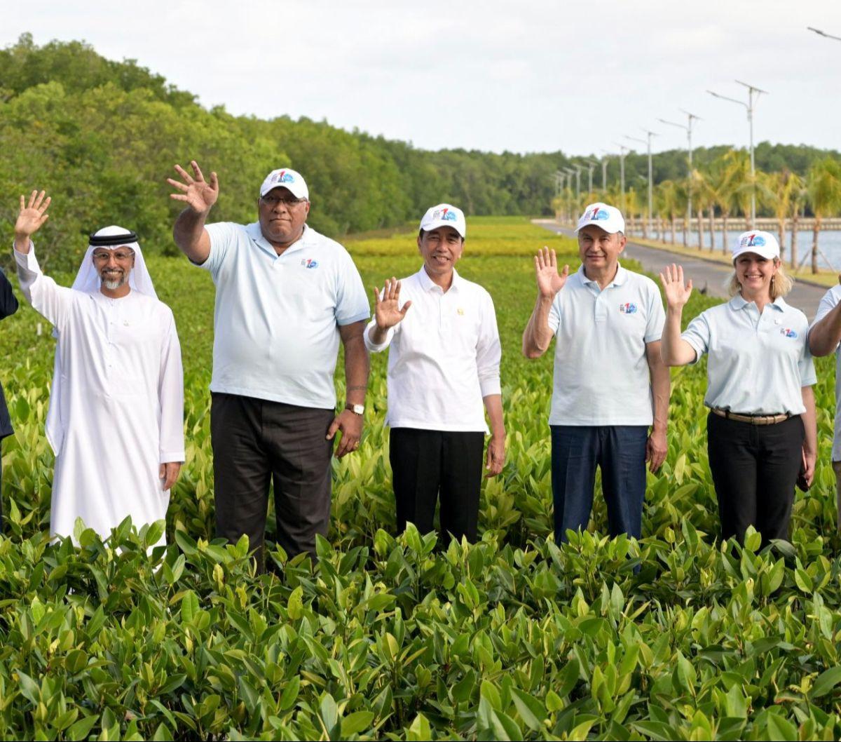 Presiden Joko Widodo atau Jokowi mengajak delegasi KTT Worl Water Forum ke-10 untuk mengunjungi kawasan konservasi mangrove Taman Hutan Raya (Tahura) Ngurah Rai, Denpasar, Bali, pada Selasa (21/5/2024). Pemandangan unik terekam dalam momen tersebut. Yakni