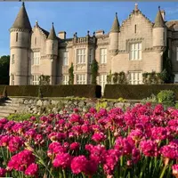 Staf Ratu Elizabeth Marah Lihat Bagian Luar Istana Jadi Toilet Umum. (dok.Instagram @balmoral_castle/https://www.instagram.com/p/CBWJg-iHCb5/Henry)