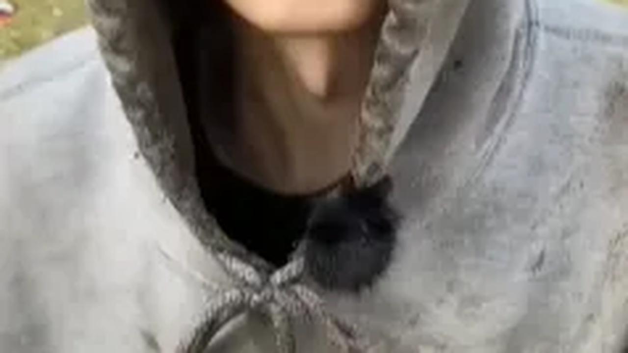 Parahnya lagi, pria yang berasal dari Upper Darby, Pennsylvania ini juga diketahui telah kecanduan obat-obatan terlarang alias narkotika.