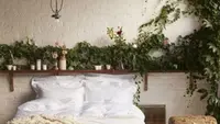 8 Tanaman Hias Wangi untuk Kamar Tidur, Tingkatkan Kualitas Istirahat dan Relaksasi